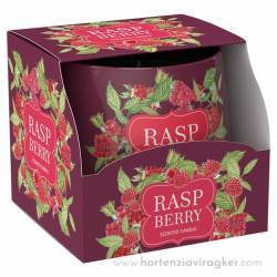 SAS2020 Poharas illatgyertya 100g-Raspberry